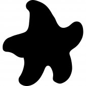 Adesivo Lavagna stella marina