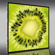 Quadro Plexiglass Kiwi