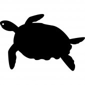 Adesivo Lavagna tartaruga