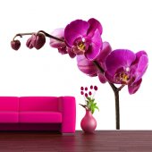 Adesivo Murale bambino orchidea