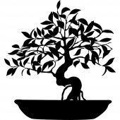 Adesivo Murale Bonsai