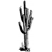 Adesivo Murale Cactus