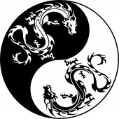Adesivo Murale ying yang drago