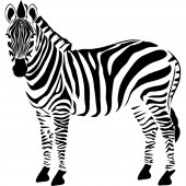 Adesivo Murale zebra