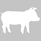 Adesivo velleda maiale