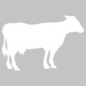Adesivo velleda mucca