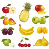 Kit Adesivo Murale   11 frutta