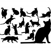 Kit Adesivo Murale 14   gatto
