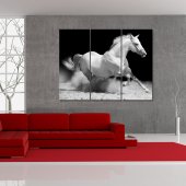 Quadro Forex cavallo