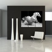 Quadro Forex cavallo