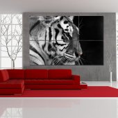 Quadro Forex Tigre