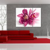 Trittico Forex orchidea
