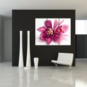 Trittico Forex orchidea