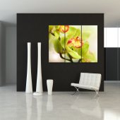 Trittico Forex orchidea