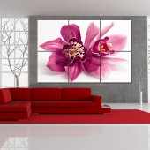 Trittico Forex orchidea