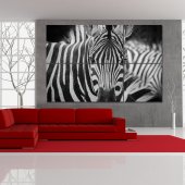 Trittico Forex zebra